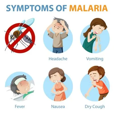 Sintomas da Malaria cartoon style infographic illustration