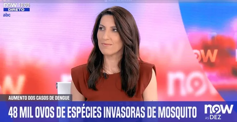 NOW — sobre a presença de Aedes albopictus em Portugal