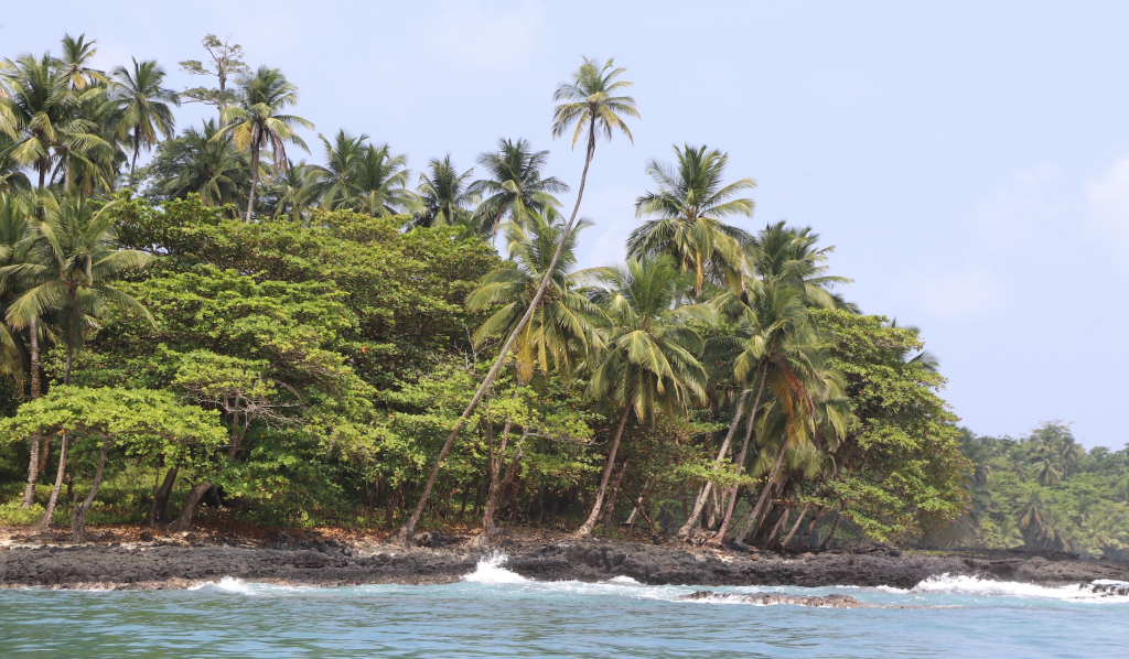 Consulta do Viajante Online para São Tomé?